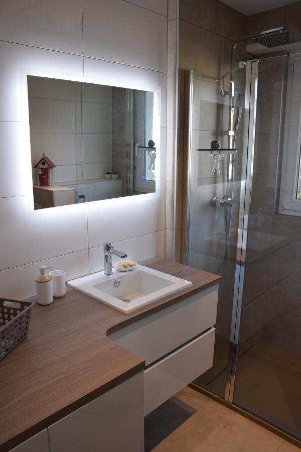 Appartement Chez Fabie Selestat Exterior photo