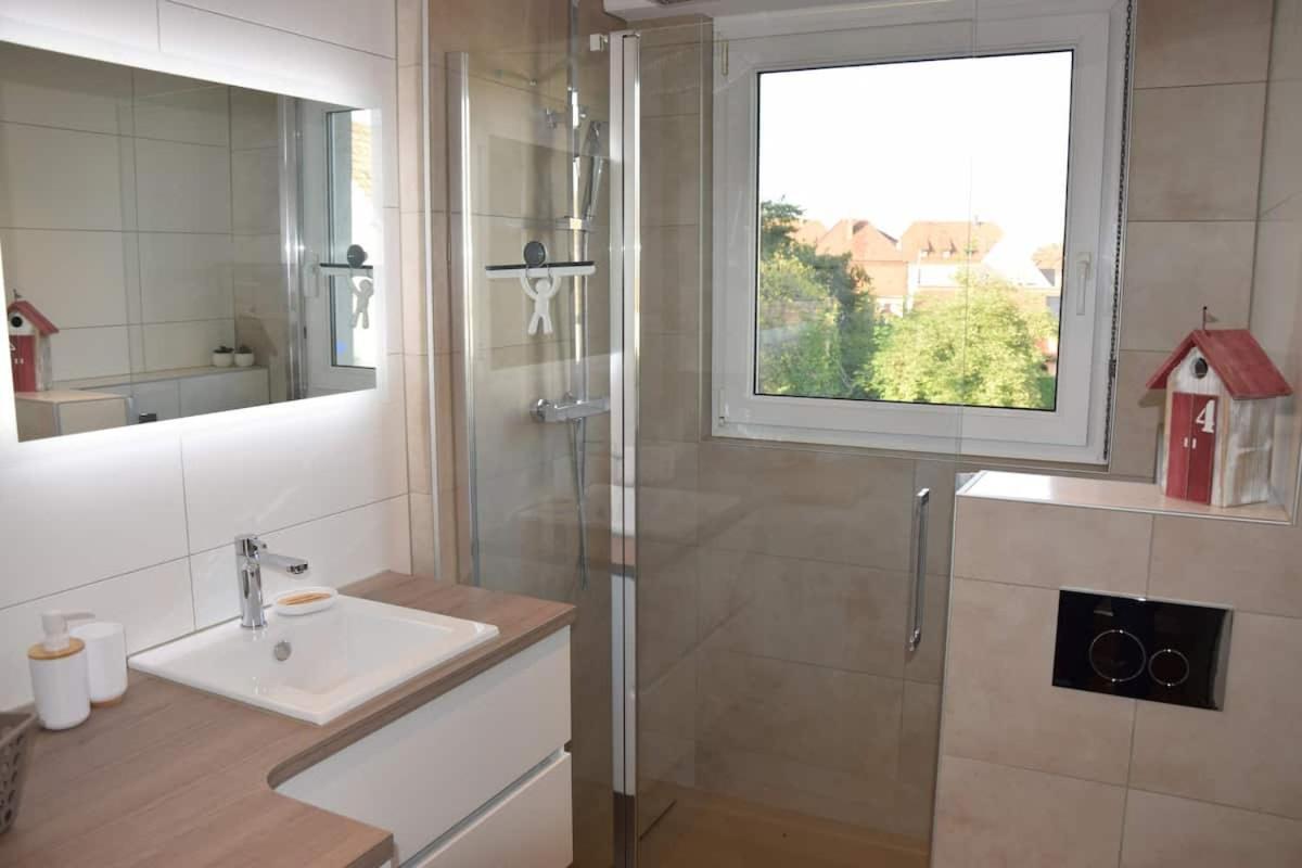 Appartement Chez Fabie Selestat Exterior photo