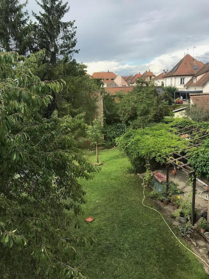 Appartement Chez Fabie Selestat Exterior photo